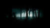 Wallpaper mit einem dunklen, düsteren Zwielicht dim Wald bewohnt